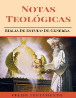 Notas Teológicas Velho Testamento.pdf